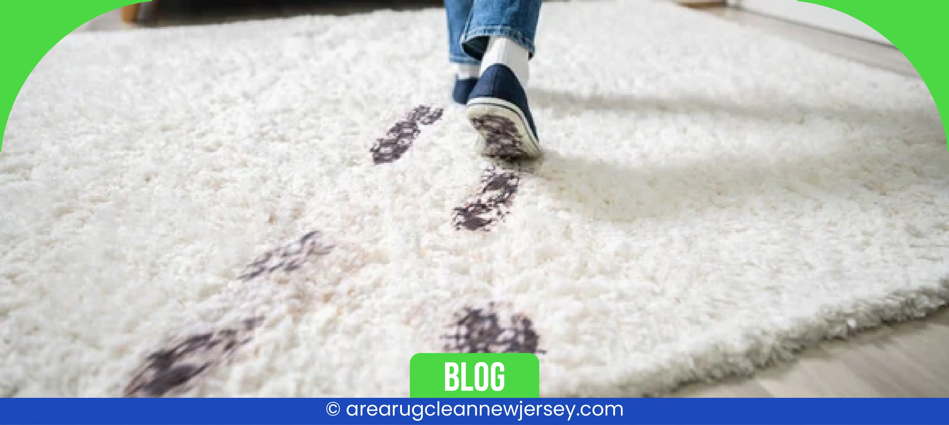 carpet cleaning, carpet cleaners, cleaning services, cleaning services in new jersey, cleaning services in new jersey, carpet cleaning in new jersey, carpet cleaning in new jersey, carpet cleaning new jersey, carpet cleaners in new jersey, carpet cleaners in new jersey, carpet cleaning services, new jersey carpet cleaning, new jersey carpet cleaning, new jersey carpet cleaners, new jersey carpet cleaning services