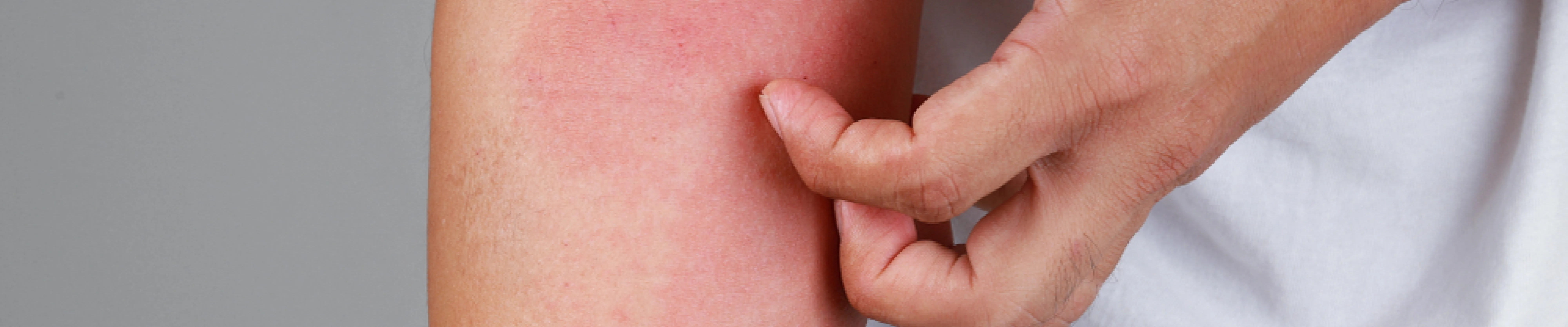 carpet cleaning, carpet cleaners, cleaning services, cleaning services in new jersey, cleaning services in new jersey, carpet cleaning in new jersey, carpet cleaning in new jersey, carpet cleaning new jersey, carpet cleaners in new jersey, carpet cleaners in new jersey, carpet cleaning services, new jersey carpet cleaning, new jersey carpet cleaning, new jersey carpet cleaners, new jersey carpet cleaning services