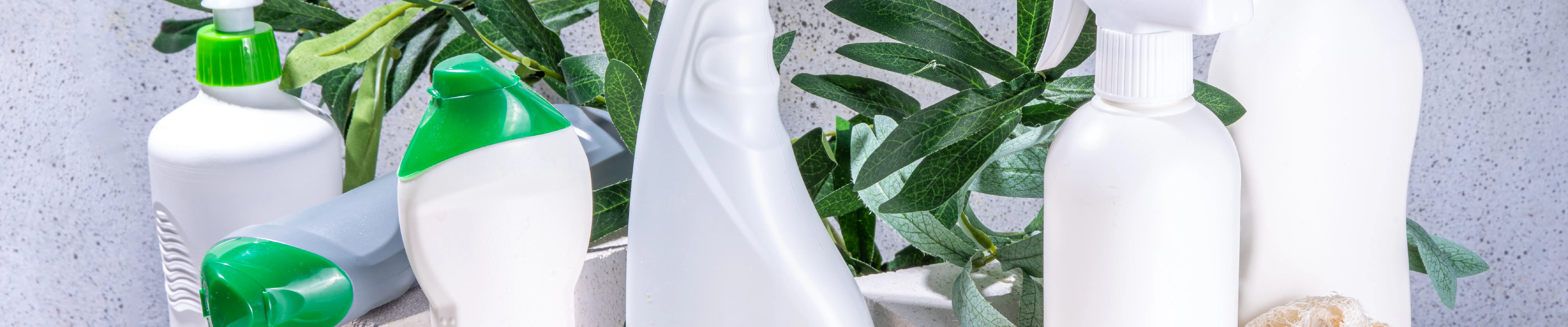 carpet cleaning, carpet cleaners, cleaning services, cleaning services in new jersey, cleaning services in new jersey, carpet cleaning in new jersey, carpet cleaning in new jersey, carpet cleaning new jersey, carpet cleaners in new jersey, carpet cleaners in new jersey, carpet cleaning services, new jersey carpet cleaning, new jersey carpet cleaning, new jersey carpet cleaners, new jersey carpet cleaning services