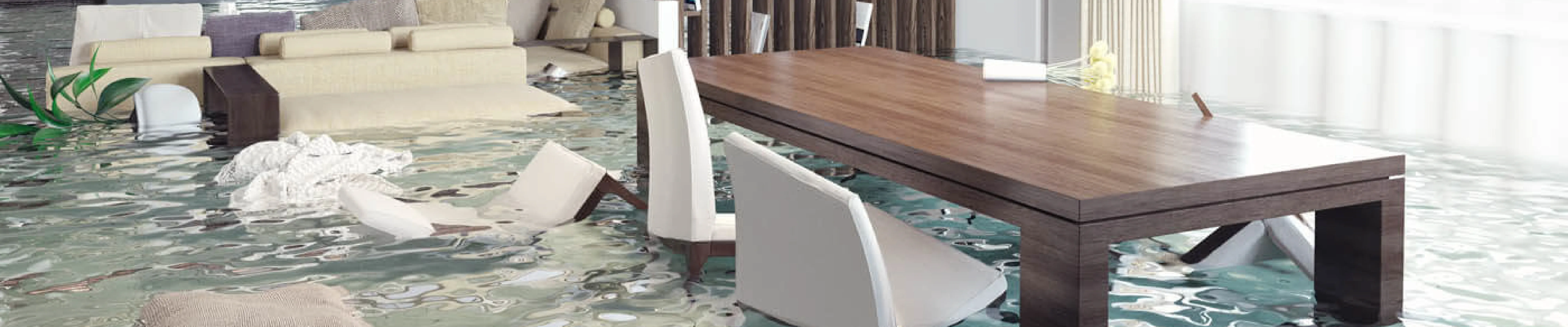 carpet cleaning, carpet cleaners, cleaning services, cleaning services in new jersey, cleaning services in new jersey, carpet cleaning in new jersey, carpet cleaning in new jersey, carpet cleaning new jersey, carpet cleaners in new jersey, carpet cleaners in new jersey, carpet cleaning services, new jersey carpet cleaning, new jersey carpet cleaning, new jersey carpet cleaners, new jersey carpet cleaning services