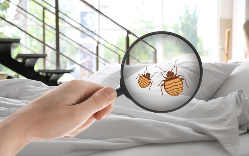 carpet cleaning, carpet cleaners, cleaning services, cleaning services in new jersey, cleaning services in new jersey, carpet cleaning in new jersey, carpet cleaning in new jersey, carpet cleaning new jersey, carpet cleaners in new jersey, carpet cleaners in new jersey, carpet cleaning services, new jersey carpet cleaning, new jersey carpet cleaning, new jersey carpet cleaners, new jersey carpet cleaning services