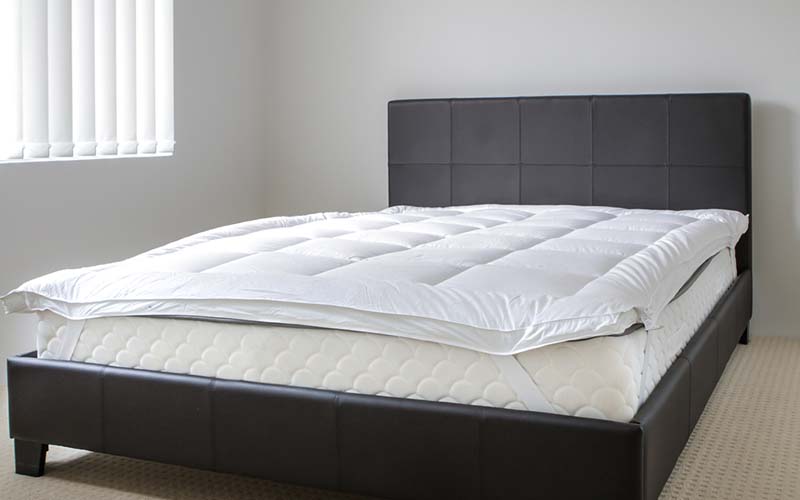 carpet cleaning, carpet cleaners, cleaning services, cleaning services in new jersey, cleaning services in new jersey, carpet cleaning in new jersey, carpet cleaning in new jersey, carpet cleaning new jersey, carpet cleaners in new jersey, carpet cleaners in new jersey, carpet cleaning services, new jersey carpet cleaning, new jersey carpet cleaning, new jersey carpet cleaners, new jersey carpet cleaning services