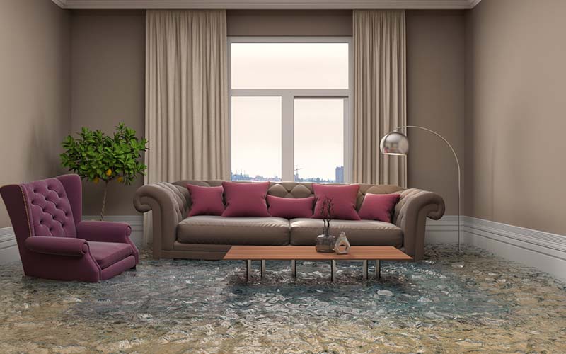 carpet cleaning, carpet cleaners, cleaning services, cleaning services in new jersey, cleaning services in new jersey, carpet cleaning in new jersey, carpet cleaning in new jersey, carpet cleaning new jersey, carpet cleaners in new jersey, carpet cleaners in new jersey, carpet cleaning services, new jersey carpet cleaning, new jersey carpet cleaning, new jersey carpet cleaners, new jersey carpet cleaning services