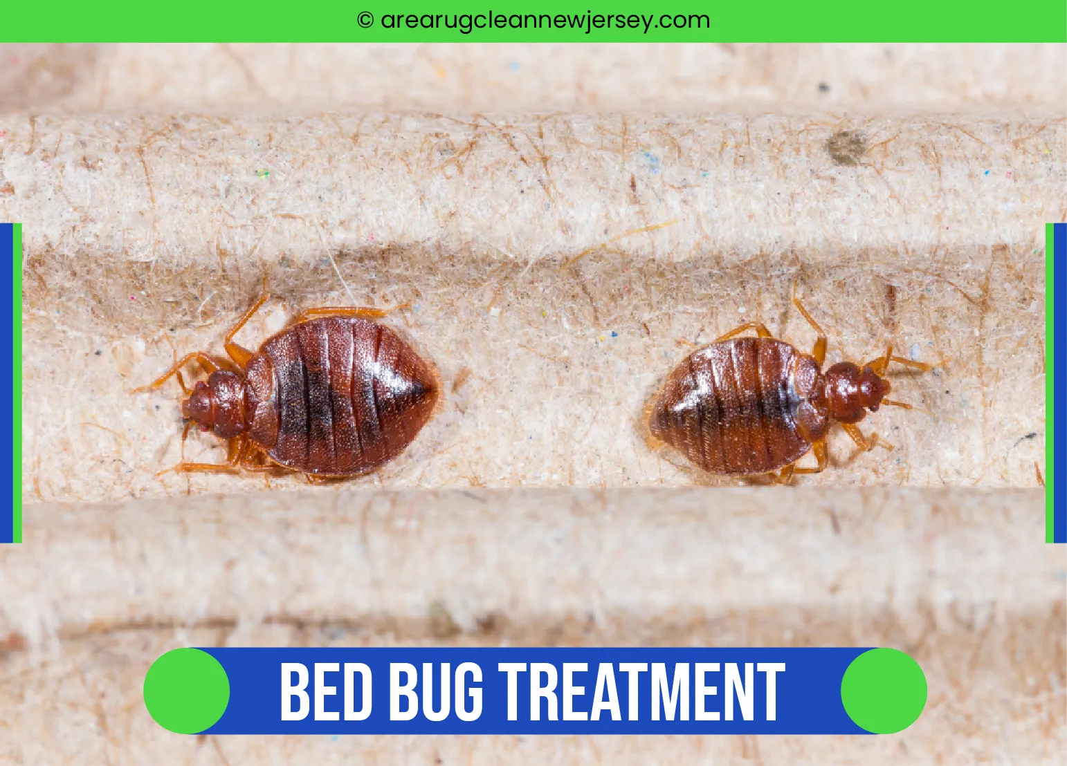 carpet cleaning, carpet cleaners, cleaning services, cleaning services in new jersey, cleaning services in new jersey, carpet cleaning in new jersey, carpet cleaning in new jersey, carpet cleaning new jersey, carpet cleaners in new jersey, carpet cleaners in new jersey, carpet cleaning services, new jersey carpet cleaning, new jersey carpet cleaning, new jersey carpet cleaners, new jersey carpet cleaning services