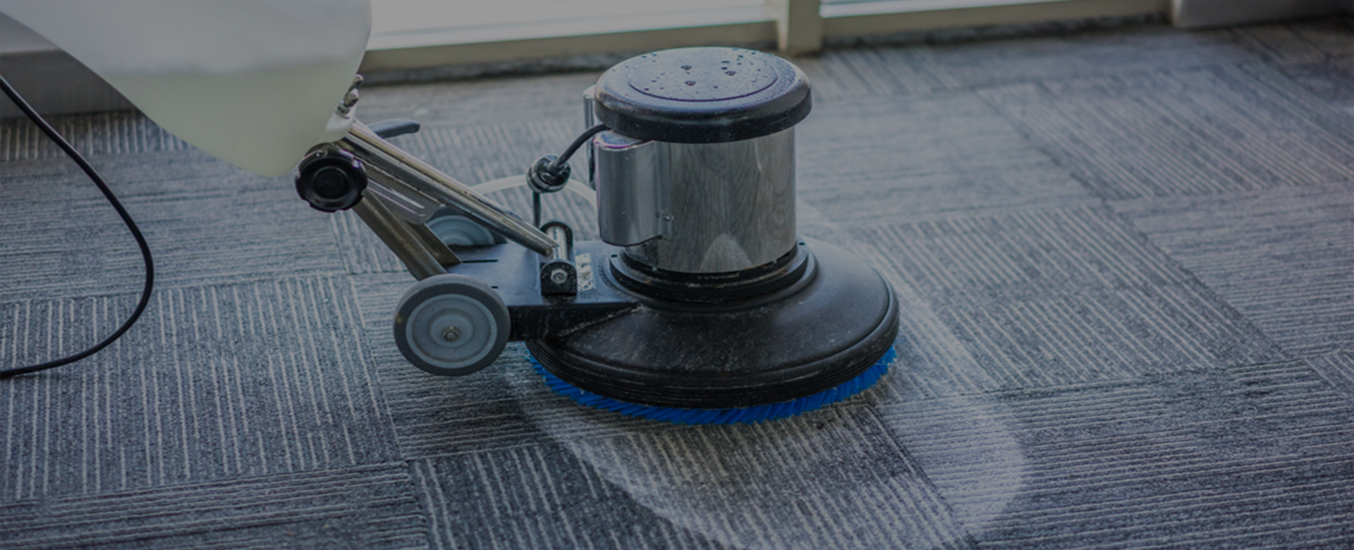 carpet cleaning, carpet cleaners, cleaning services, cleaning services in new jersey, cleaning services in new jersey, carpet cleaning in new jersey, carpet cleaning in new jersey, carpet cleaning new jersey, carpet cleaners in new jersey, carpet cleaners in new jersey, carpet cleaning services, new jersey carpet cleaning, new jersey carpet cleaning, new jersey carpet cleaners, new jersey carpet cleaning services